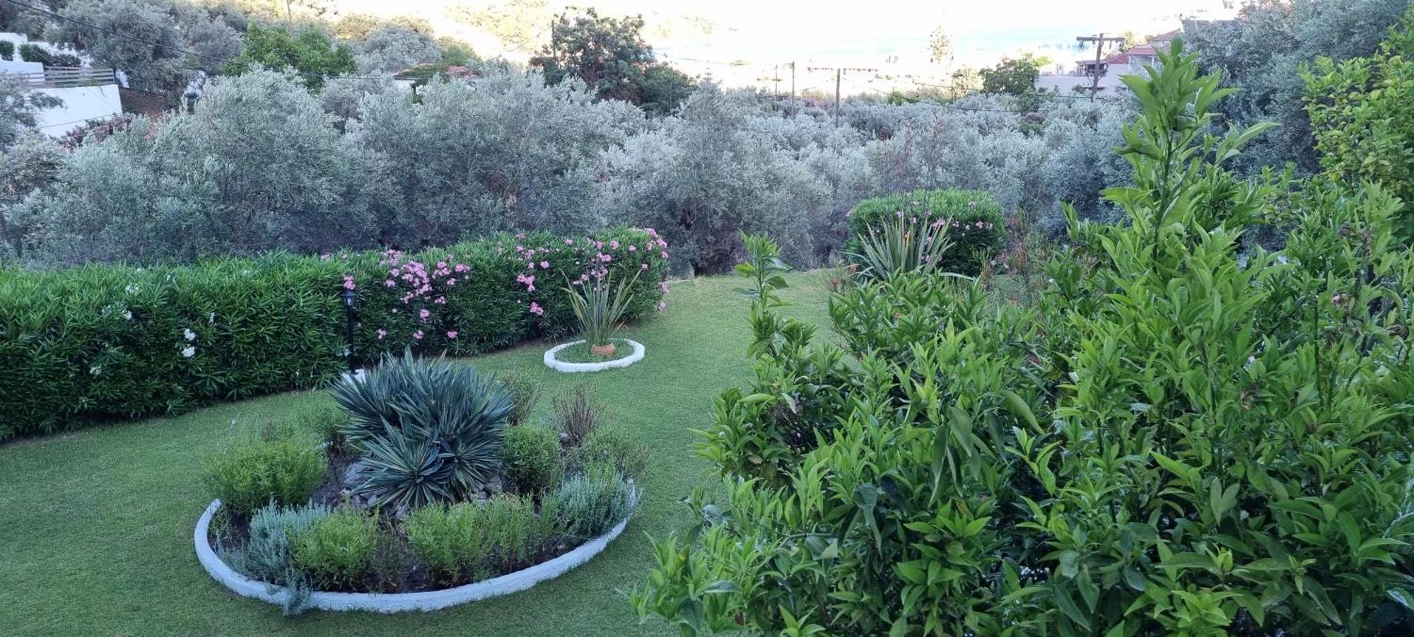 Olive Grove Studios Megali Ammos  Dış mekan fotoğraf