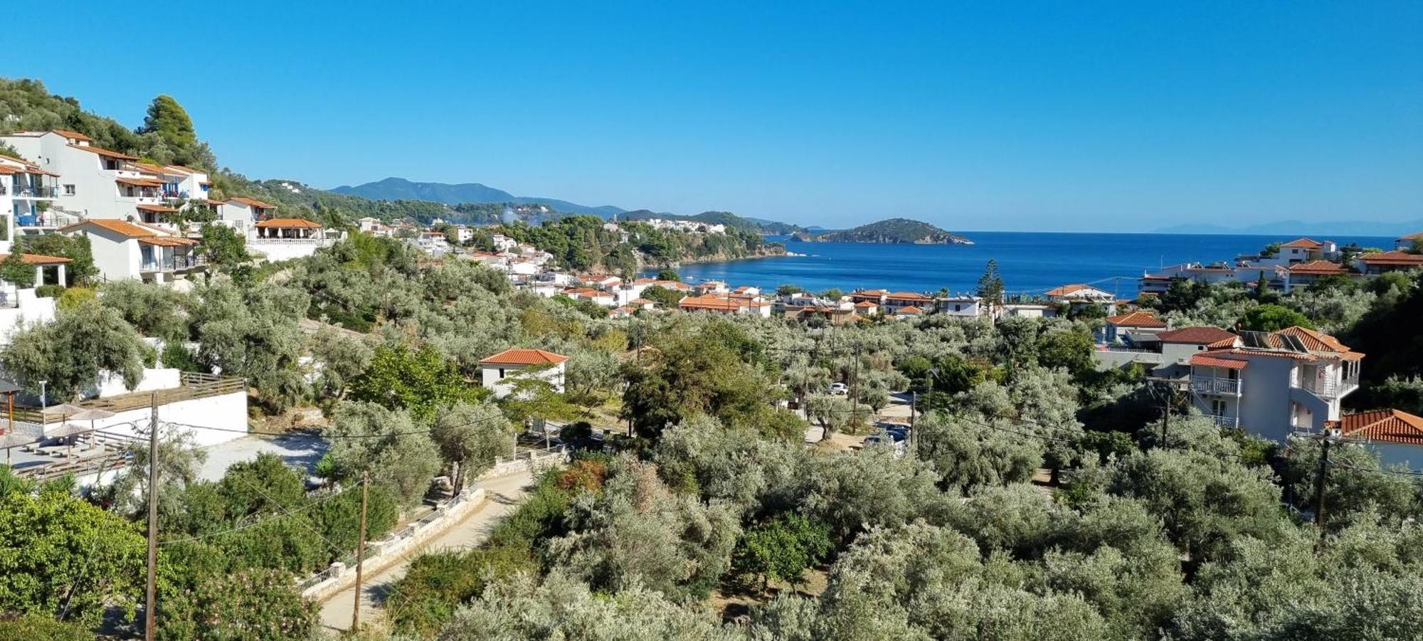 Olive Grove Studios Megali Ammos  Dış mekan fotoğraf