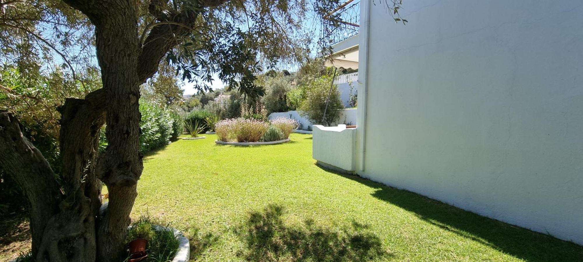 Olive Grove Studios Megali Ammos  Dış mekan fotoğraf